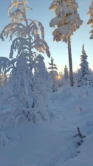 Rovaniemi Santa & Hidden Arctic Village, Lunch & Nature - Exploring Santa Claus Village: Festive Atmosphere and Personal Touches