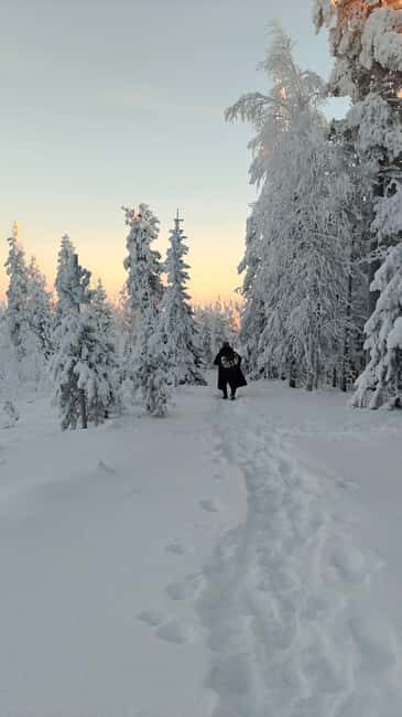 Rovaniemi Santa & Hidden Arctic Village, Lunch & Nature - Authenticity and Overall Value