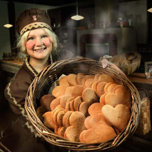 Rovaniemi: Santa Park Visit with Hotel Pick up - Practical Tips for Your Visit