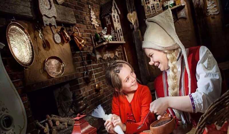 Rovaniemi: SantaPark and Santa Claus Village Day Tour - Who Will Love This Tour?
