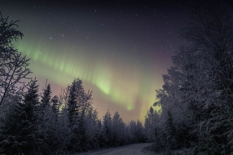 Rovaniemi: Sauna & Ice Swimming Tour with Dinner and Aurora - The Sum Up: Is it Worth It?