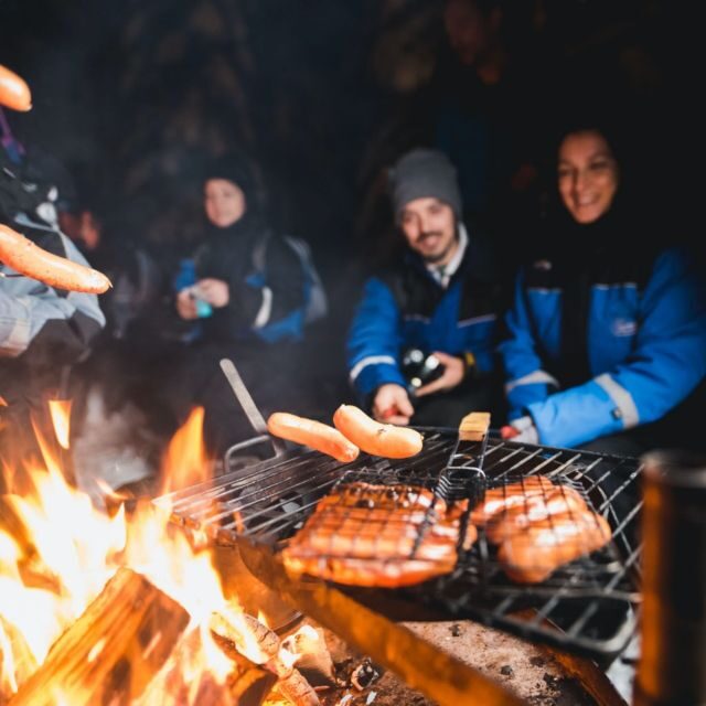 Rovaniemi: Search for Northern Lights Snowmobiling Trip - Key Points