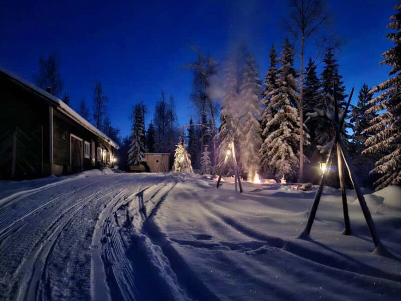 Rovaniemi: Self-drive Husky ride with a Reindeer Farm visit - Key Points