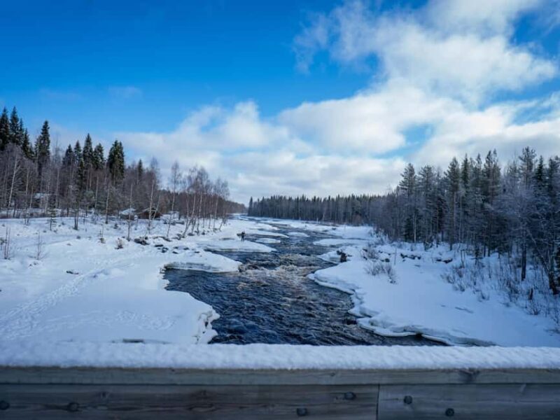 Rovaniemi: Small-Group Snowshoe Tour at Vikaköngäs & BBQ - Practical Details and Considerations