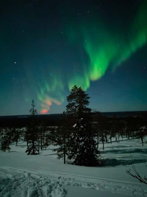 Rovaniemi: Snowcat Aurora Tour to a Lappish Hut with a View - Who Should Consider This Tour?