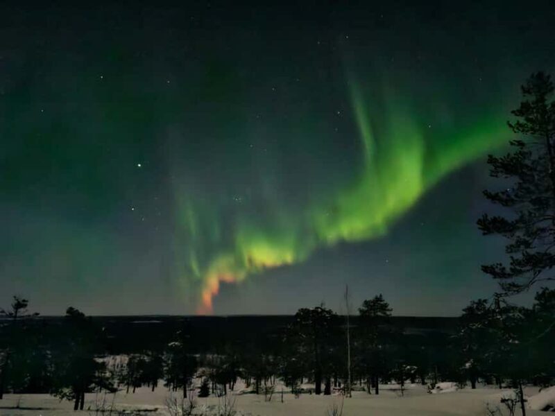 Rovaniemi: Snowcat Aurora Tour to a Lappish Hut with a View - Final Thoughts