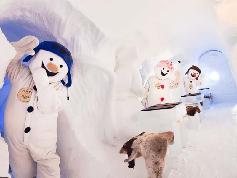 Rovaniemi: Snowman World Entry Ticket in Santa Claus Village - Practical Info: What You Need to Know