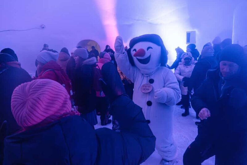 Rovaniemi: Snowman World Entry Ticket in Santa Claus Village - Who Should Consider Visiting Snowman World?