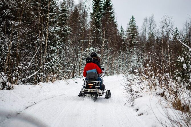 Rovaniemi Snowmobile Adventure & BBQ - 1Hour Drive, Small Group - Key Points