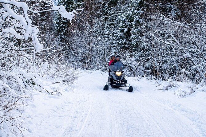 Rovaniemi Snowmobile Adventure & BBQ - 1Hour Drive, Small Group - Final Words