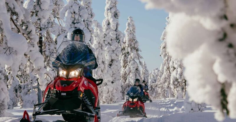 Rovaniemi: Snowmobile Adventure Tour for Adults Only - Key Points