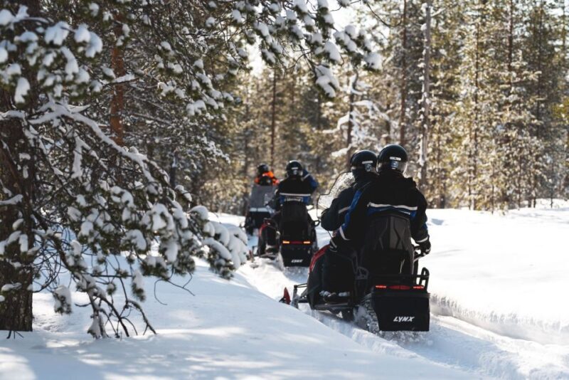 Rovaniemi: Snowmobile Adventure Tour for Adults Only - What to Expect on Your Snowmobile Adventure