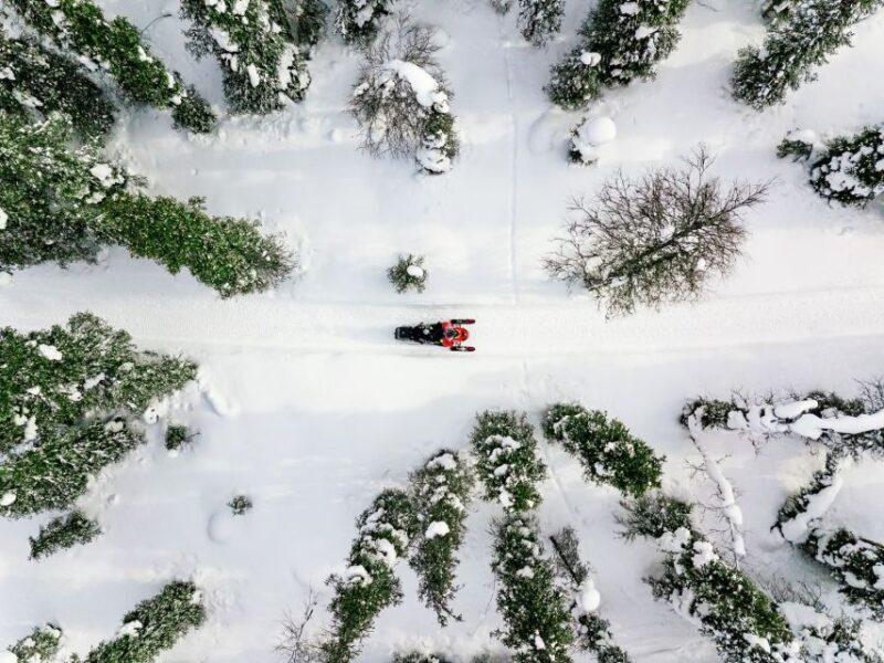 Rovaniemi: Snowmobile Safari Adventure - What Makes This Snowmobile Safari Stand Out?