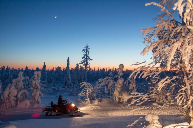 Rovaniemi: Snowmobile Safari & Campfire Evening Escape - What to Expect on This Tour