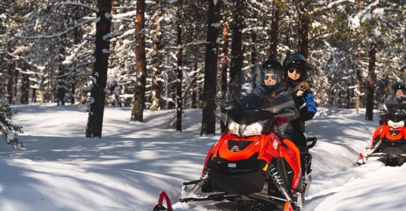 Rovaniemi: Snowmobile Safari into the Arctic Circle Forest - What is the Snowmobile Safari in Rovaniemi?