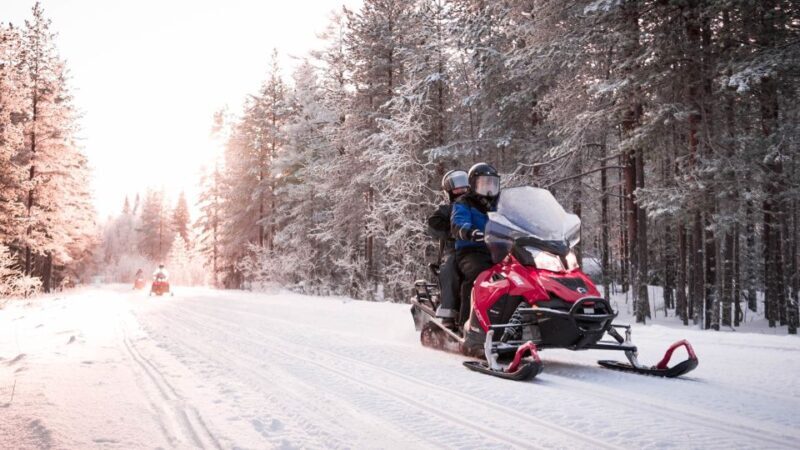 Rovaniemi: Snowmobile Safari into the Arctic Circle Forest - What Will You Be Doing on the Tour?