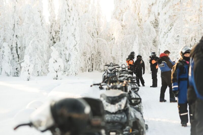 Rovaniemi: Snowmobile Safari into the Arctic Circle Forest - Weather and Terrain Considerations