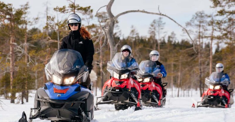 Rovaniemi: Snowmobile Safari into the Wilderness - The Experience in Detail