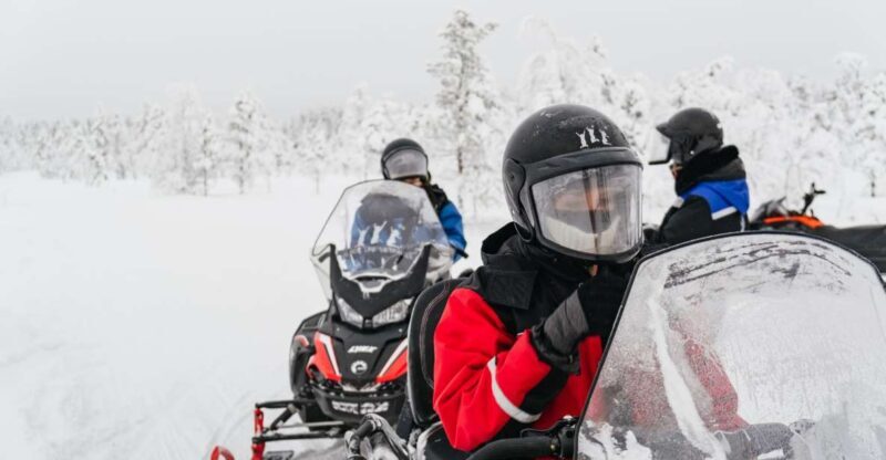 Rovaniemi: Snowmobile Safari, Reindeer & Husky Sleigh Ride - Final Thoughts