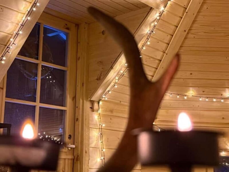 Rovaniemi: Snowmobiling under Aurora+Kota Salmon & Photos - Key Points