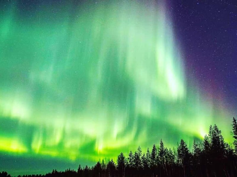 Rovaniemi: Snowmobiling under Aurora+Kota Salmon & Photos - Is it Worth the Price?