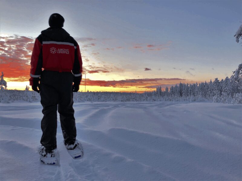 Rovaniemi: Snowshoe Hiking Adventure - What to Expect from the Rovaniemi Snowshoe Hiking Tour