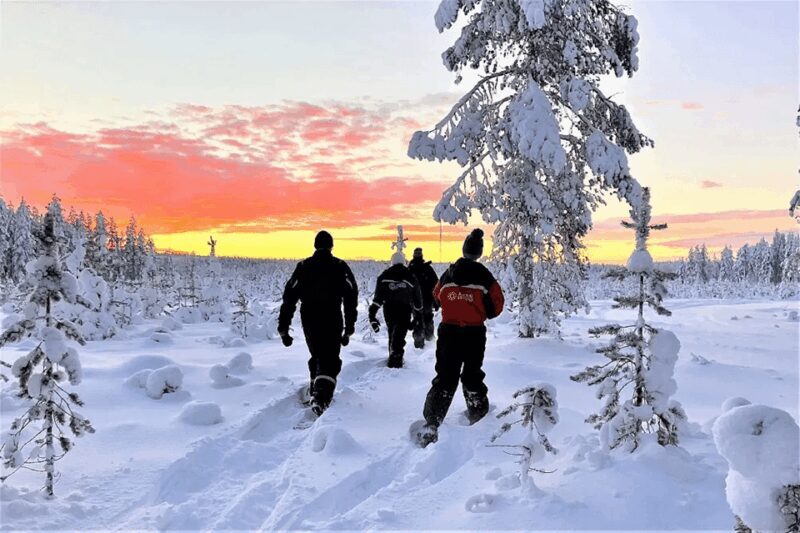 Rovaniemi: Snowshoe Hiking Adventure - What’s Included and Practical Considerations
