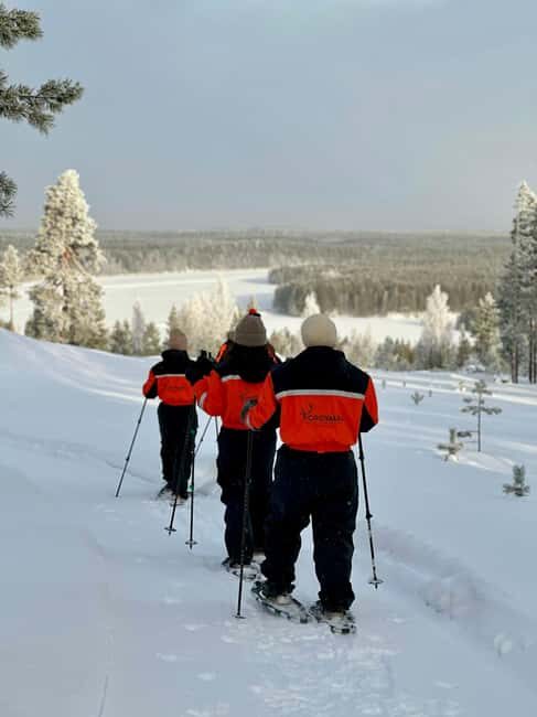 Rovaniemi: Snowshoe trip to meet reindeer - An In-Depth Look at the Snowshoe & Reindeer Experience in Rovaniemi