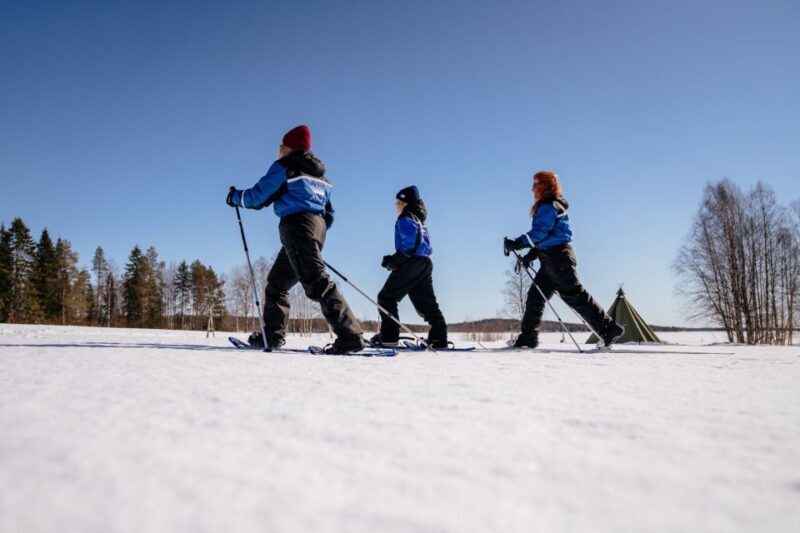Rovaniemi: Snowshoe Walk to The Arctic Nature - Duration and Pricing