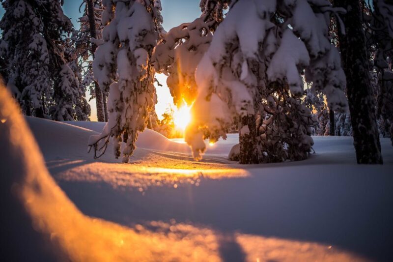 Rovaniemi: Snowshoe Wilderness Adventure - The Experience in Detail