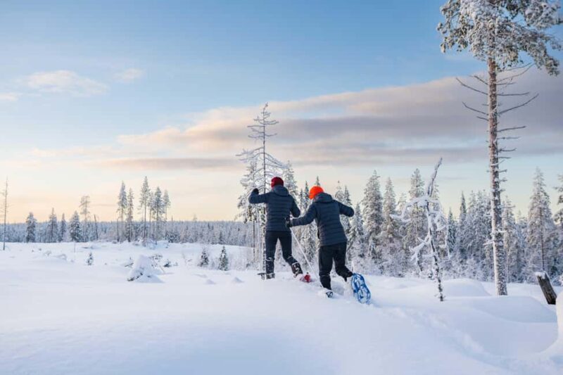 Rovaniemi: Snowshoe Wilderness Adventure - The Sum Up