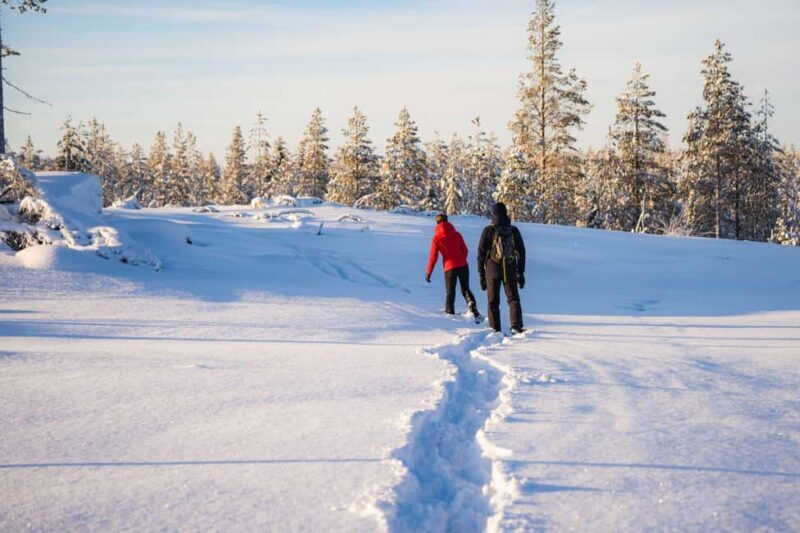 Rovaniemi: Snowshoe Wilderness Adventure - FAQ
