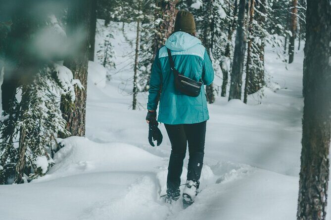 Rovaniemi: Snowshoeing in a magical snowy forest - Key Points