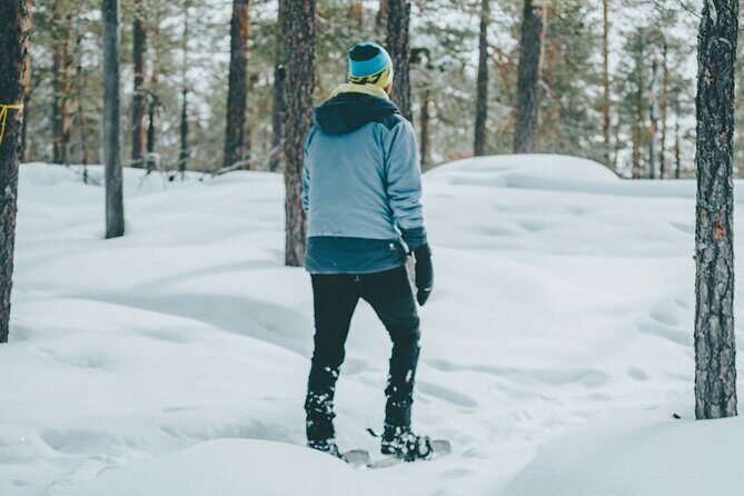 Rovaniemi: Snowshoeing in a magical snowy forest - What to Expect from the Snowshoeing Adventure