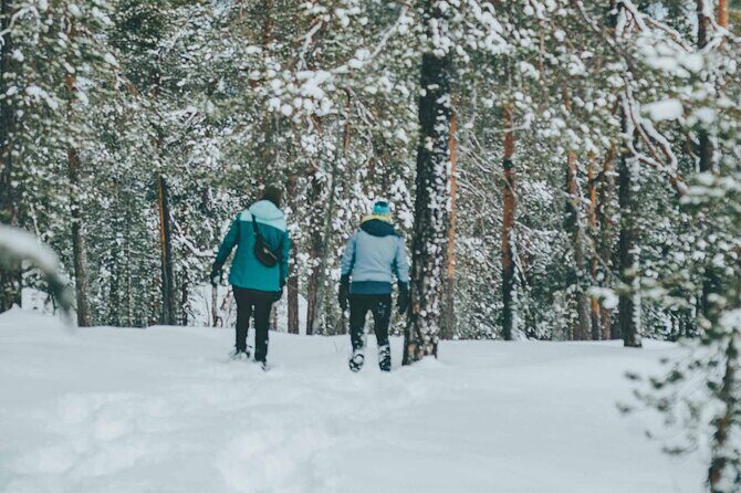 Rovaniemi: Snowshoeing in a magical snowy forest - The Sum Up