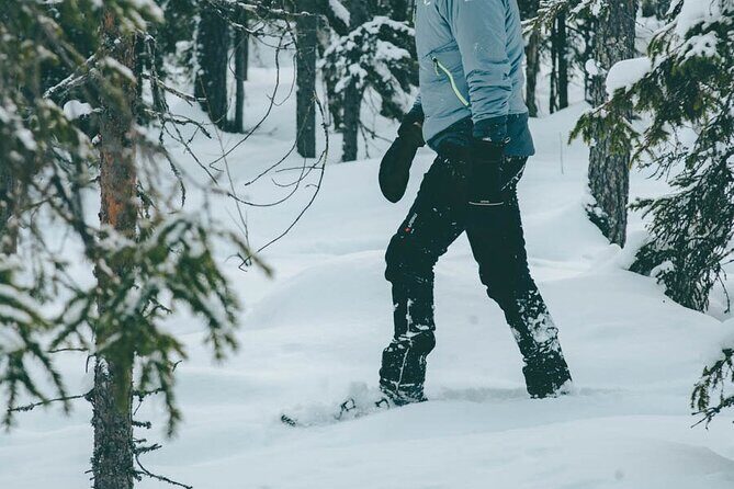 Rovaniemi: Snowshoeing in a magical snowy forest - FAQ