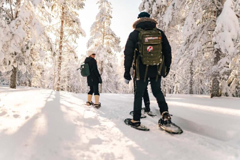 Rovaniemi: Snowshoeing in the Arctic Wilderness - Scenic Views and the Quiet of the Arctic