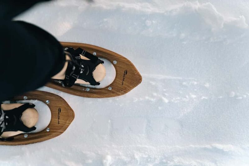 Rovaniemi: Snowshoeing in the Arctic Wilderness - A Balanced Perspective: The Downsides