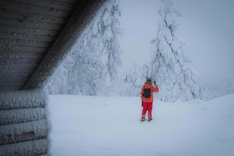 Rovaniemi: Snowshoeing in the Frozen Forest - What to Expect from the Snowshoeing Adventure