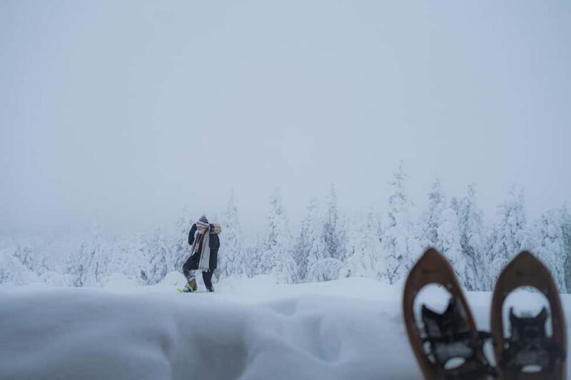 Rovaniemi: Snowshoeing in the Frozen Forest - The Duration and Logistics