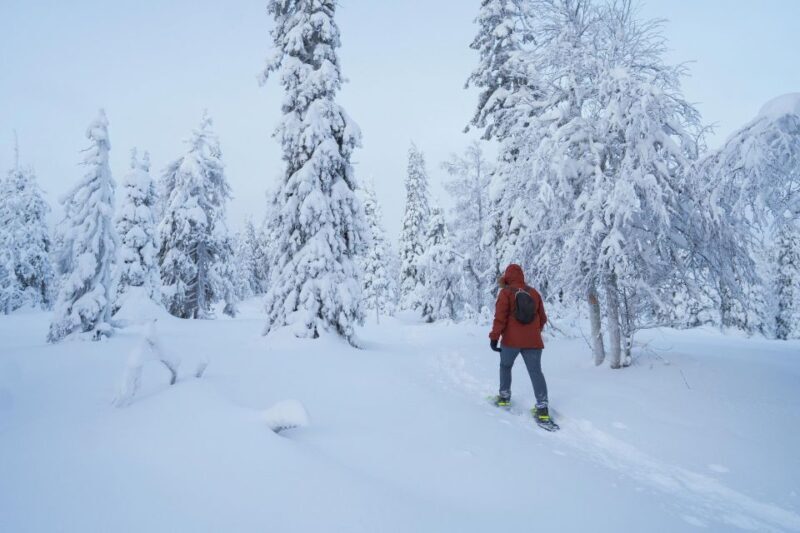 Rovaniemi: Snowshoeing in the Frozen Forest - What Travelers Are Saying