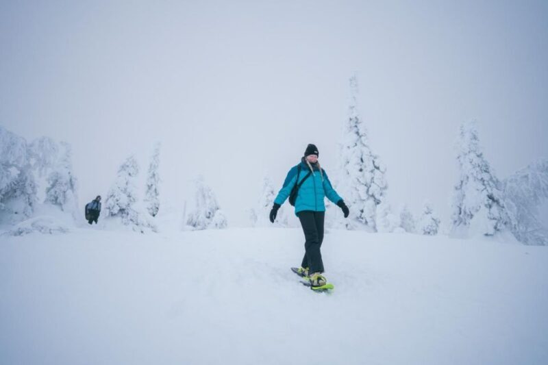 Rovaniemi: Snowshoeing in the Frozen Forest - Who Would Love This Experience?