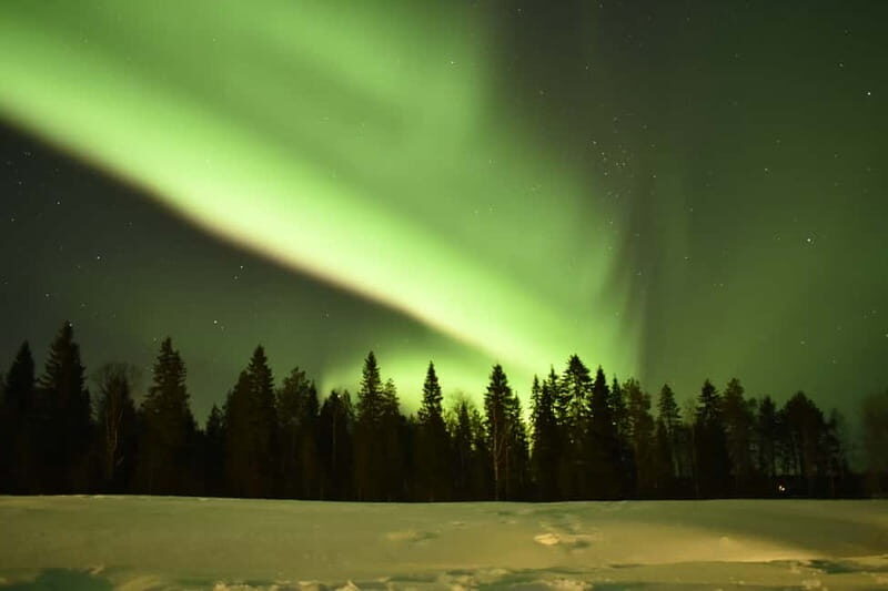 Rovaniemi: Snowtrain to Northern Lights Camp - Key Points