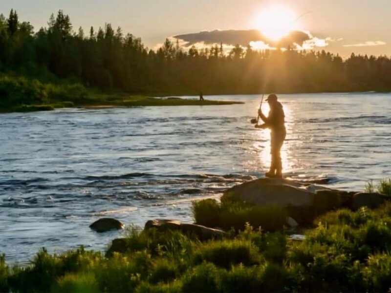 Rovaniemi: Summer & Autumn Fishing Tour in Lapland & BBQ - What Makes This Tour Stand Out?