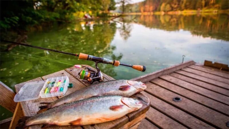 Rovaniemi: Summer & Autumn Fishing Tour in Lapland & BBQ - The Value and Who Should Consider This