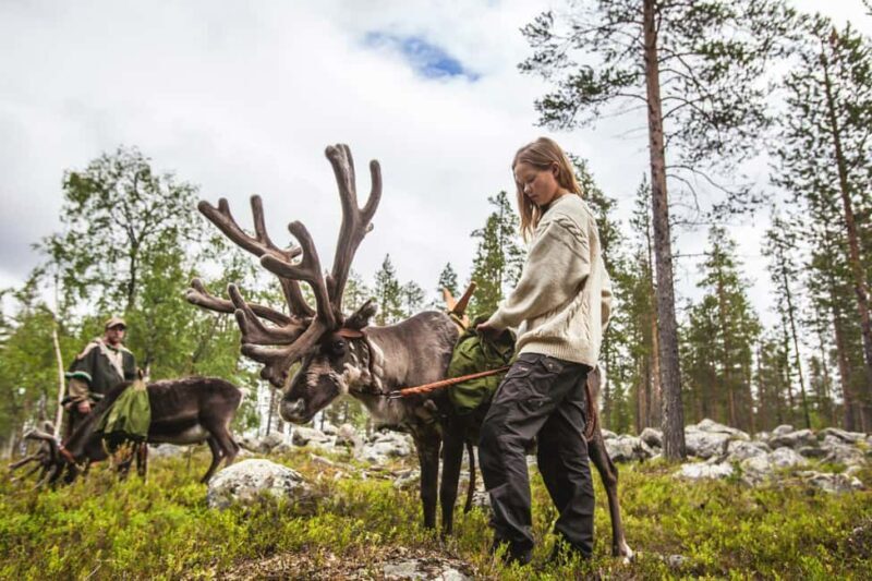 Rovaniemi: Summer/Autumn Reindeer Farm Experience - FAQ