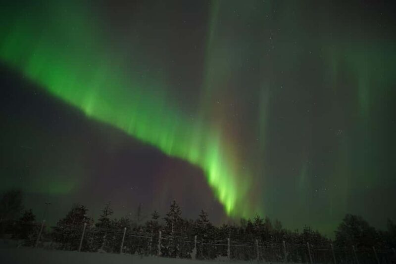 Rovaniemi: The Real Private Northern Lights Hunt - Who Is It Best For?
