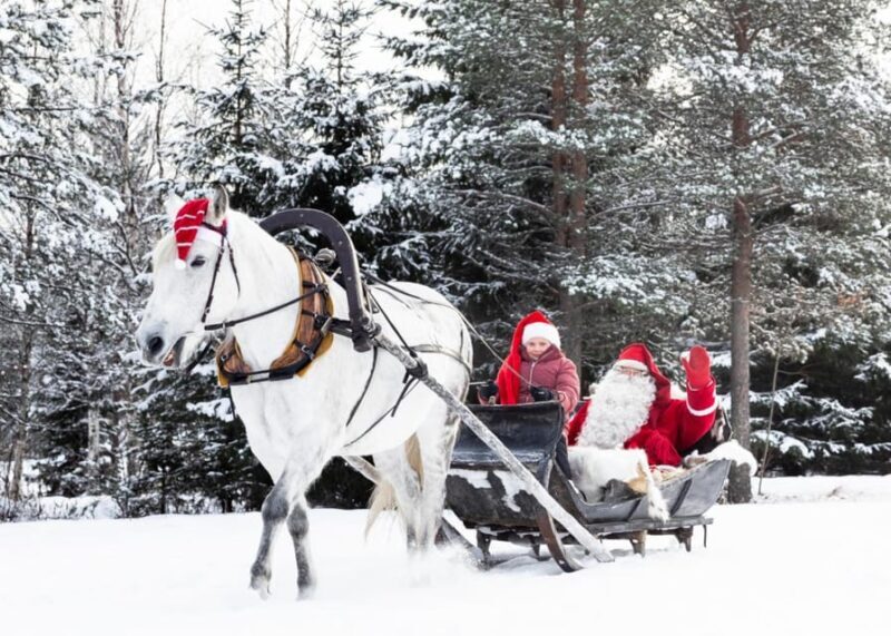 Rovaniemi: Traditional Finnhorse Sleigh Ride at SCV (3km) - Rovaniemi: Traditional Finnhorse Sleigh Ride at SCV (3km) — A Cozy Arctic Escape
