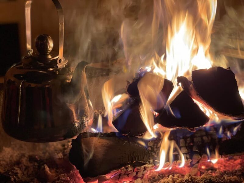 Rovaniemi: Traditional Finnhorse Sleigh Ride at SCV (3km) - The Santa Claus Village Connection