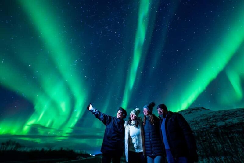 Rovaniemi Unlimited Range Northern Lights Hunt with VIP Van - What to Expect from the Tour